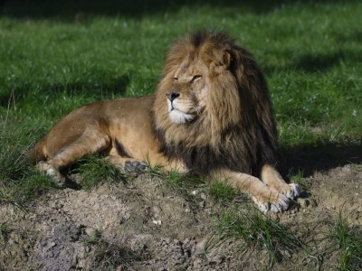 Pretparken en dierentuinen